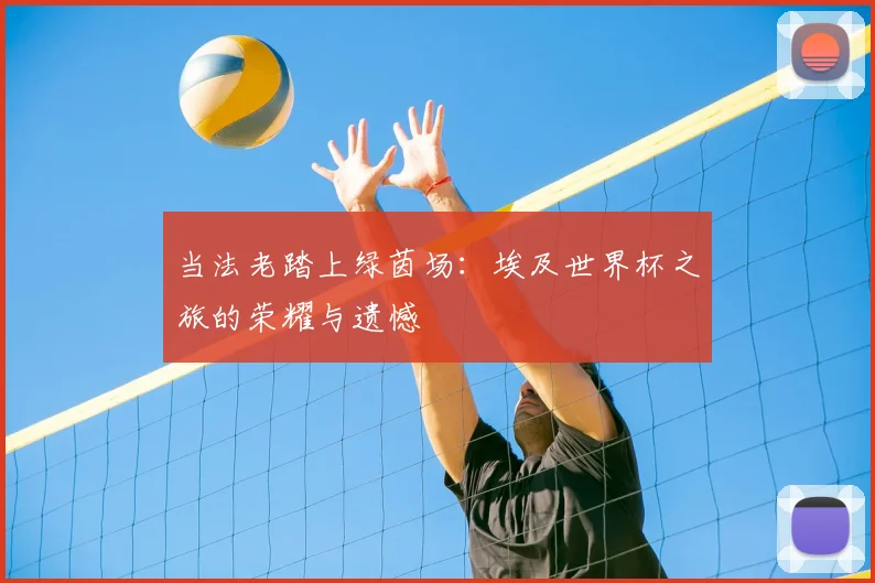 当法老踏上绿茵场：埃及世界杯之旅的荣耀与遗憾