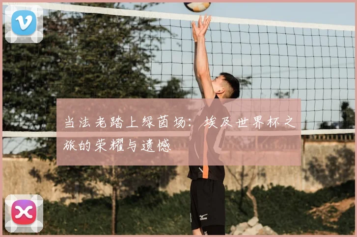 当法老踏上绿茵场：埃及世界杯之旅的荣耀与遗憾