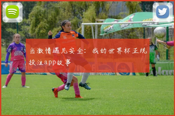 当激情遇见安全:我的世界杯正规投注app故事