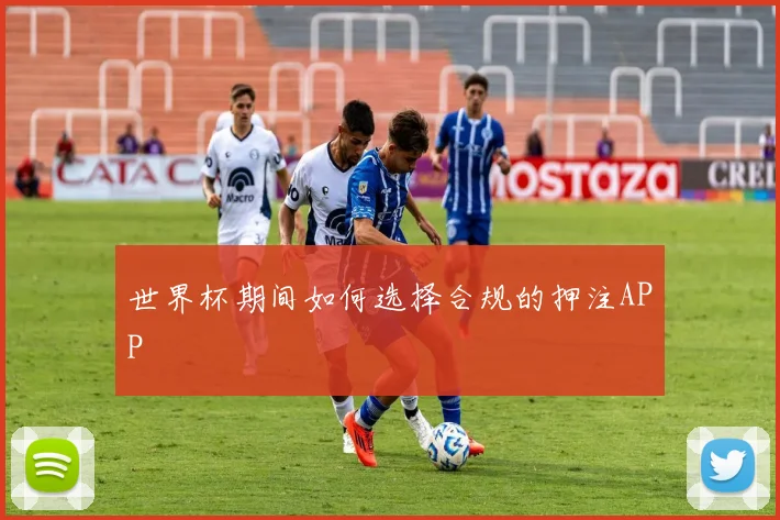 世界杯期间如何选择合规的押注APP