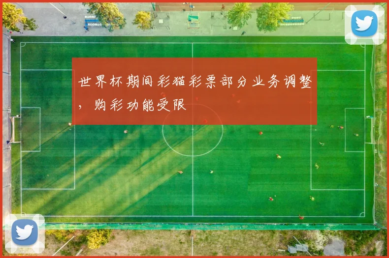 世界杯期间彩猫彩票部分业务调整，购彩功能受限