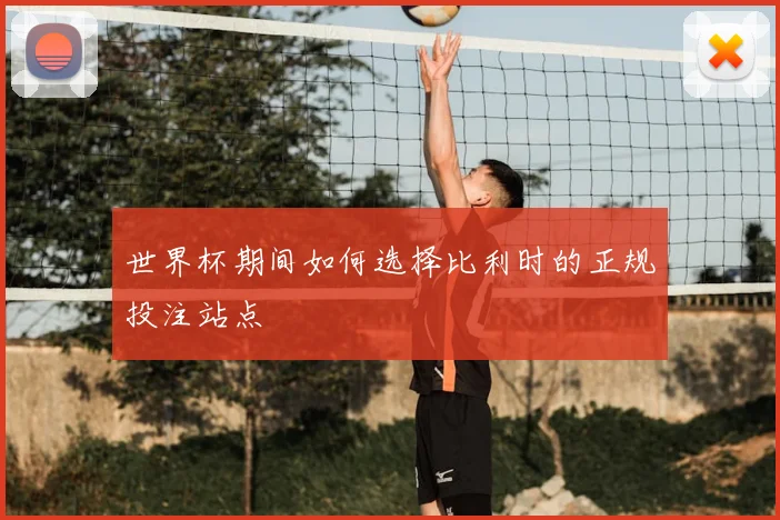 世界杯期间如何选择比利时的正规投注站点
