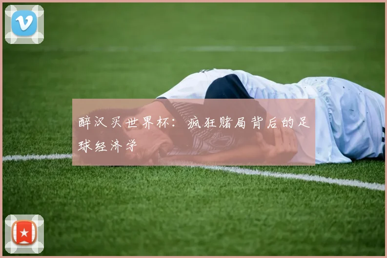 醉汉买世界杯：疯狂赌局背后的足球经济学