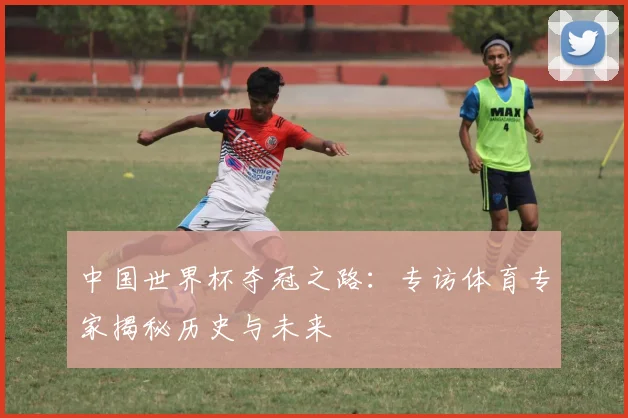 中国世界杯夺冠之路：专访体育专家揭秘历史与未来